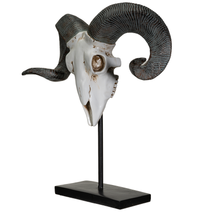 Polystone Corsican Ram Skull with Horns on Metal Stand Home Decorative Accent Faux Taxidermy Animal 29.5 in