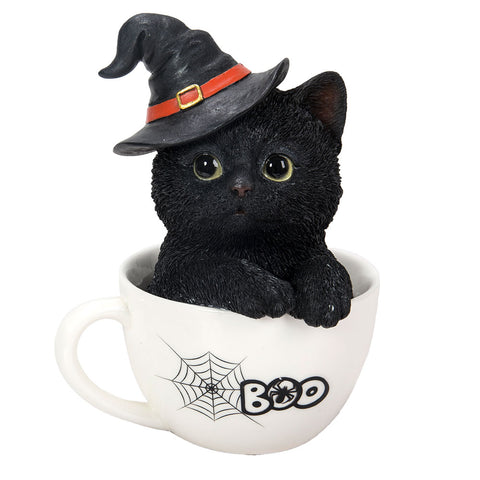 Black Kitten in Tea Cup