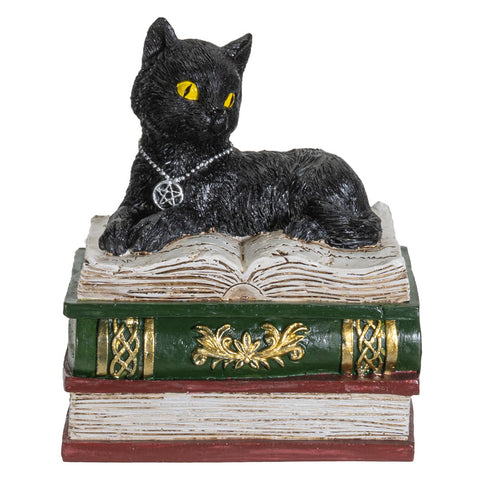 Magic Wiccan Black Cat Trinket Resin Figurine Box
