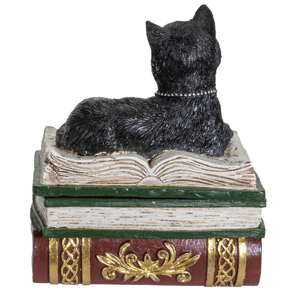 Magic Wiccan Black Cat Trinket Resin Figurine Box