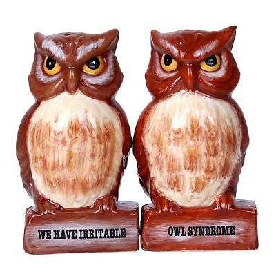 Irritable Owls Syndrome Ceramic Magnetic Salt and Pepper Shaker Set