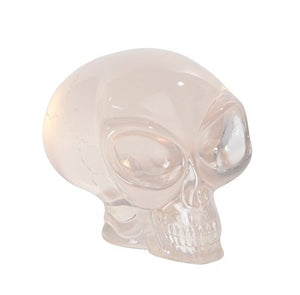 Clear Alien Skull Skeleton ET Extraterrestrial Finished Cool Head