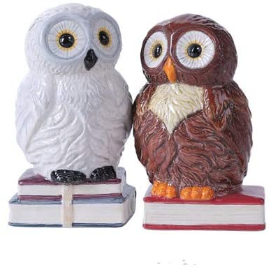 Pacific Giftware Book Owls Hedwig Magnetic Salt and Pepper Shaker Kitchen Set 4.75 inches Tabletop Kitchen Decor