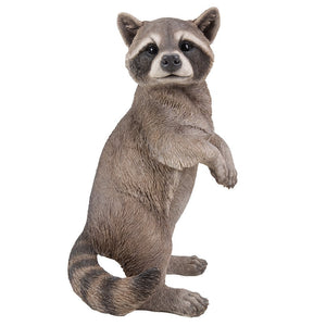 Realistic Looking Raccoon Standing On Hind Legs Statue Life Size