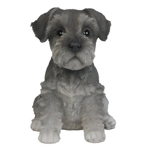 Adorable Seated Mini Schnauzer Puppy Collectible