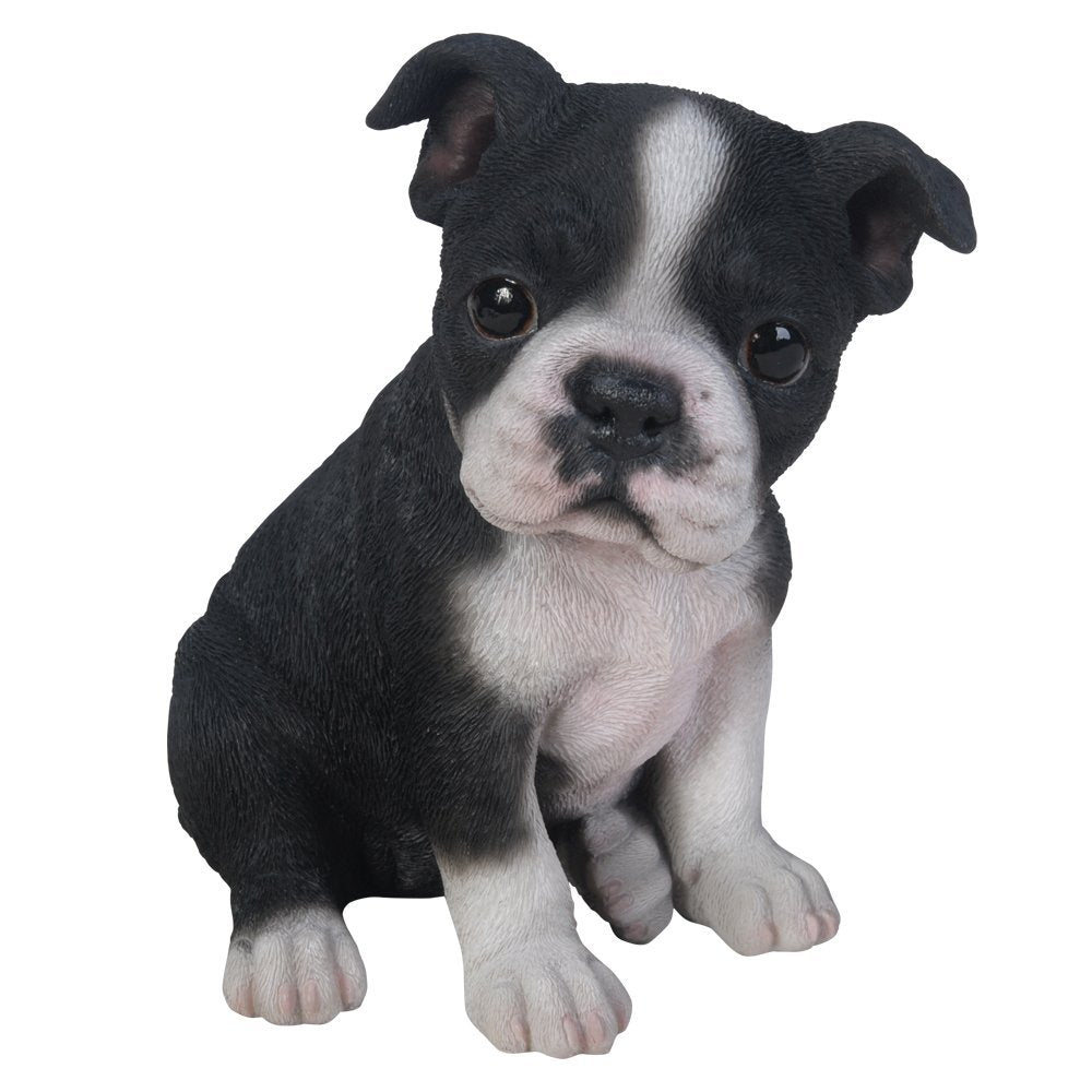 Adorable Seated Boston Terrier Puppy Collectible Figurine