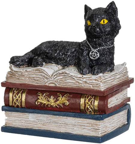 Magic Wiccan Black Cat Trinket Resin Figurine Decoration Box