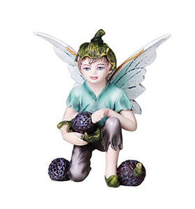 Fairy Garden Flower Boy Fairy with Blue Berries Decorative Mini Garden of Enchantment Figurine 3 Inch