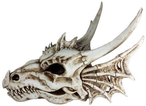 Pacific Giftware Ancient Jurassic Fossil Dinosaurs Agujaceratops Dragon Large Skull Head with Wing