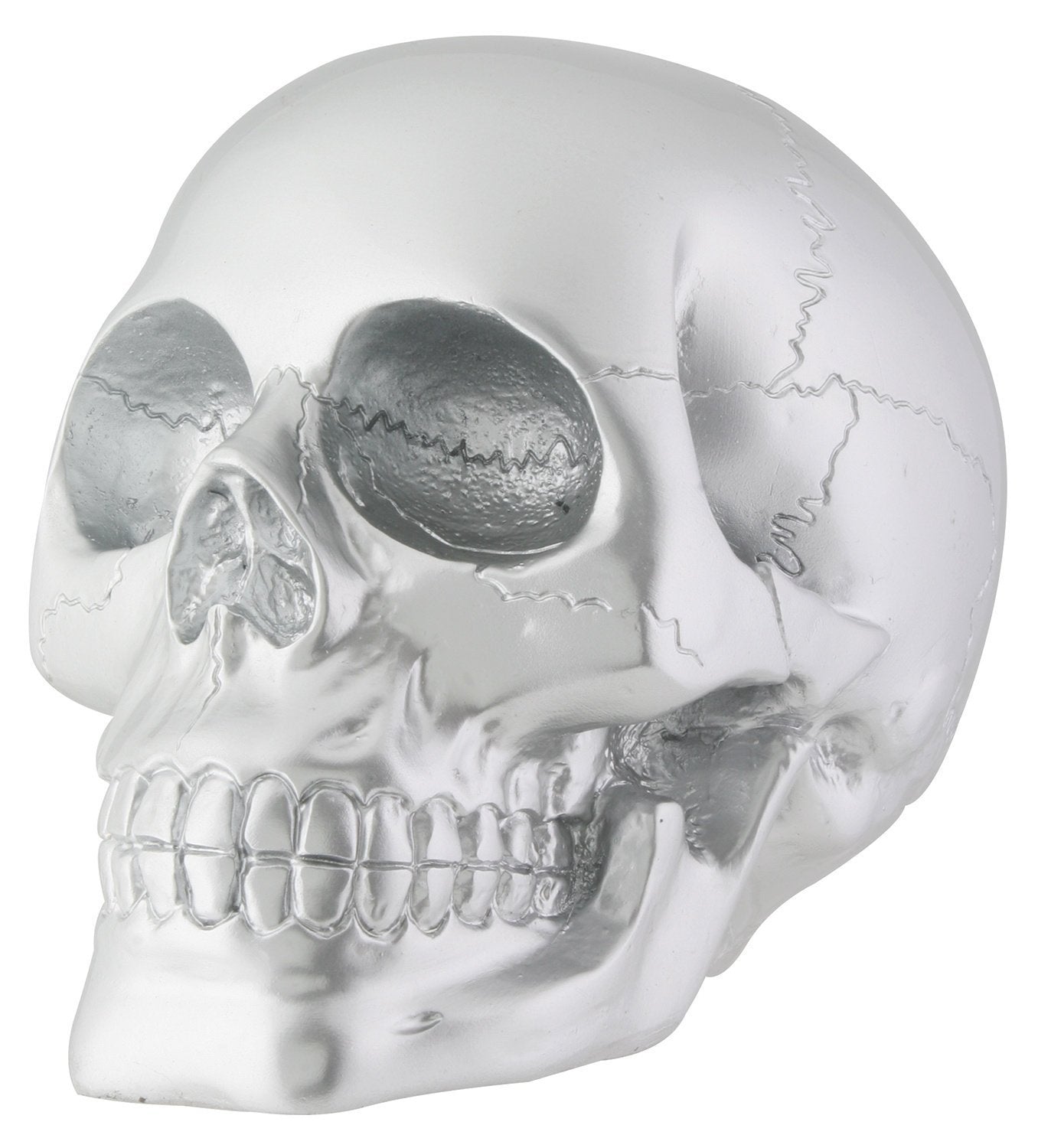 Silver Skull Head Collectible Skeleton Decoration Figure