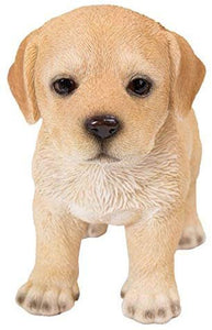 Realist Look Labrador Puppy Standing Resin Figurine Statue