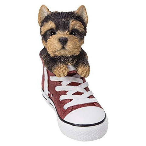 Pacific Giftware PT All Star Animal Yorkie Puppy Dog in The Shoe Decorative Resin Figurine