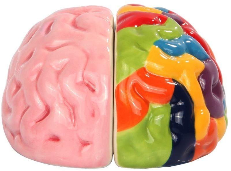 Attractives Magnetic Ceramic Salt Pepper Shakers Left and Right Brain