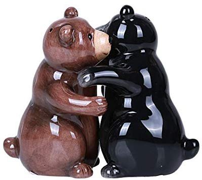 Hugging Bears Magnetic Ceramic Salt and Pepper Shakers Set