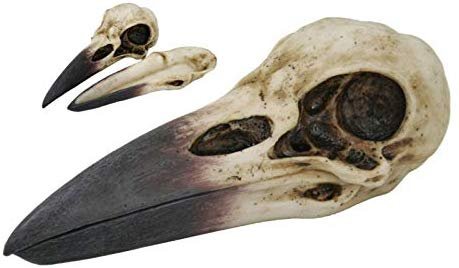 Pacific Giftware Raven Skull Resin Home Decor Collectible Figurine