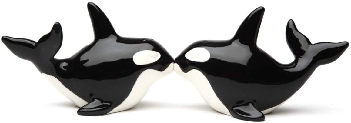 OrcasMagnetic Ceremic Salt and Pepper Shakers