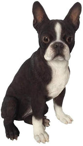 Hi-Line Gift Ltd. Boston Terrier Dog Garden Statue