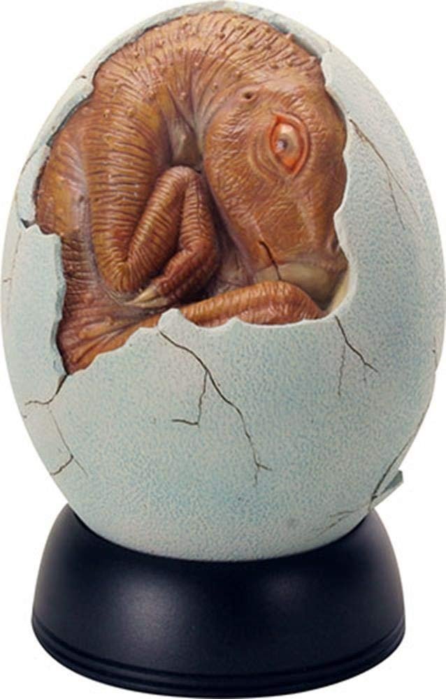 YTC 5.25 Inch Brown Rust Colored Baby Dinosaur Cracked Egg Hatchling