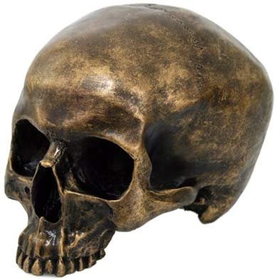 Brush Gold Cool Skull Collectible Figurine
