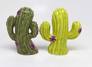 A Pair of Cactuses Ceramic Magnetic Salt and Pepper Shaker Set