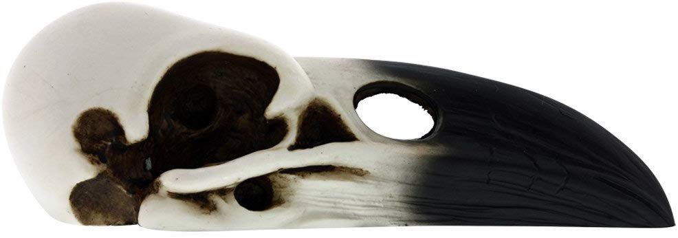 YTC White and Black Raven Bird Skeleton Skull Halloween Décor Statue