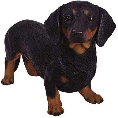 Pacific Giftware PT Large Size Statue Black and Tan Dachshund Hot Dog Short Legged Decorative Resin Figurine