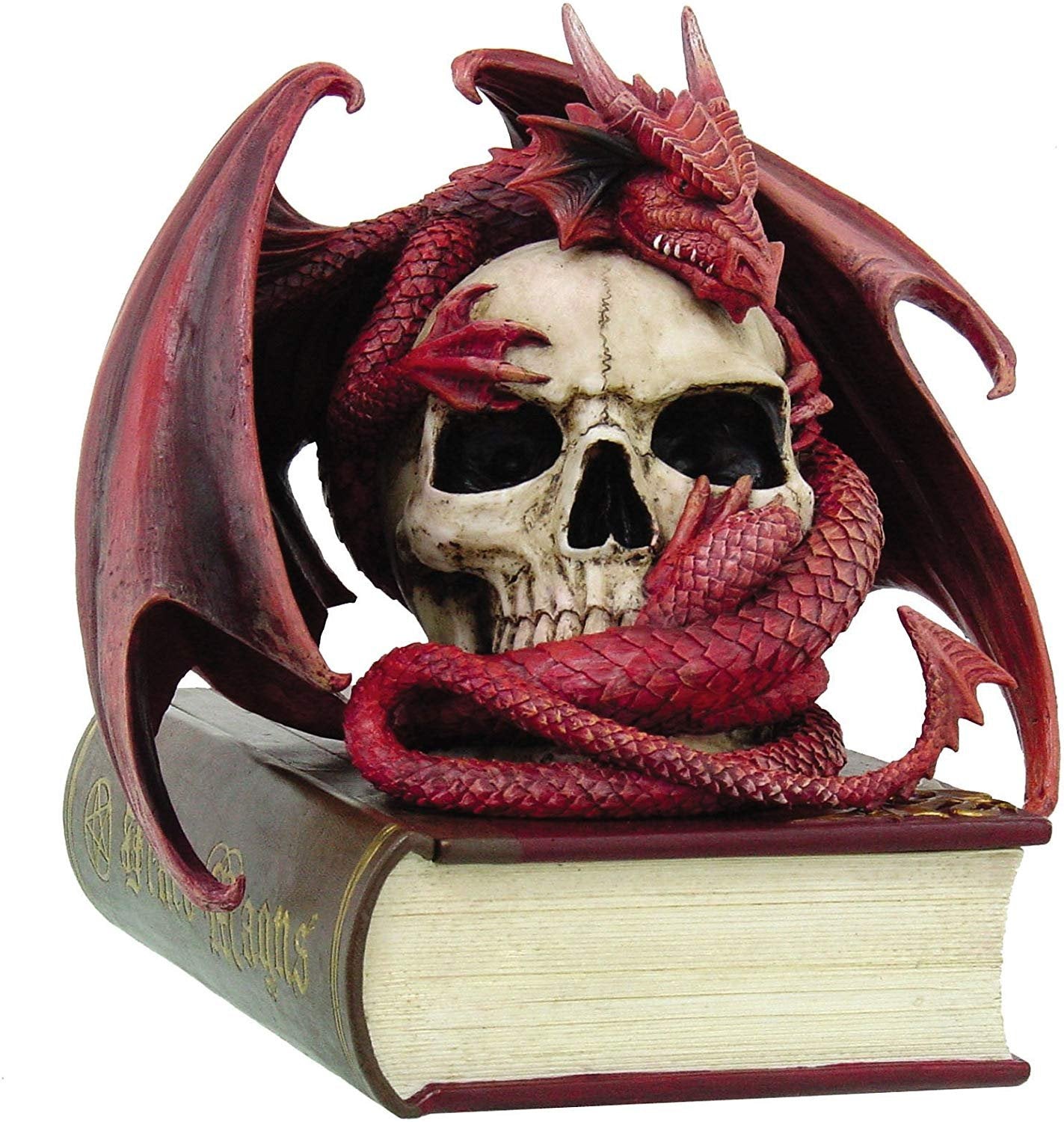 Pacific Giftware Anne Stokes Collection Red Blood Dragon Contemplation Skull Sculptural Trinket Box 8.5H