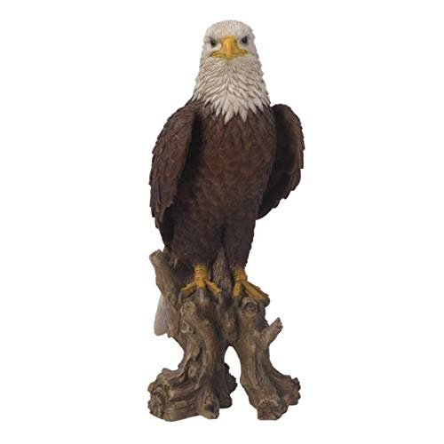 Pacific Giftware PT Realistic Look Statue Wildlife White Head Bald Eagle Decorative Resin Figurine