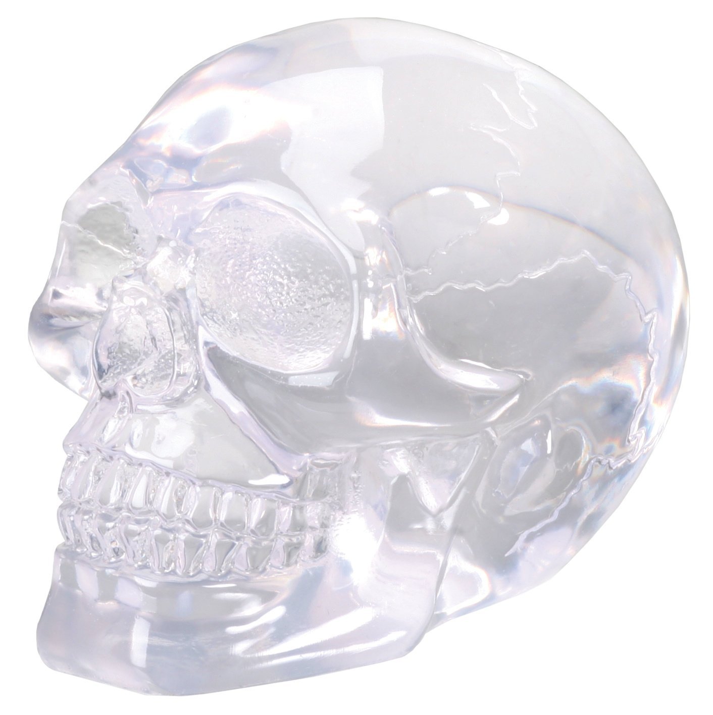 Small Clear Translucent Skull Collectible Figurine