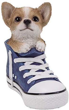 Pacific Giftware PT All Star Animal Chihuahua Puppy Dog in The Shoe Home Decorative Resin Figurine