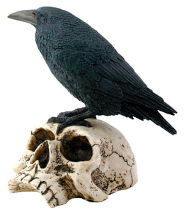 Raven on Skull Collectible Bird Crow Skeleton Figurine Statue Model