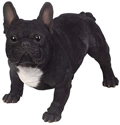 Pacific Giftware PT Realistic Large Size Statue Black and White French Bulldog Animal Dog Decorative Resin Figurine