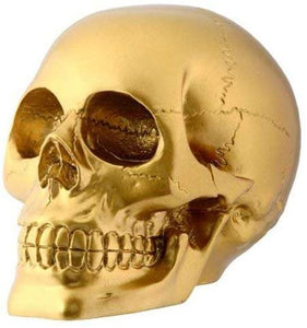 Gold Skull Head Collectible Skeleton Decoration Figurine