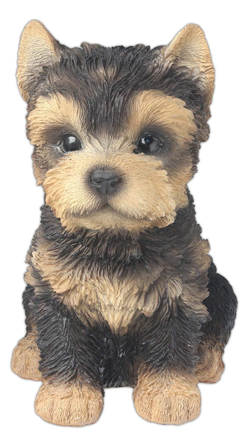 Nature's Gallery "Pet Pals" Statue (Yorkshire Terrier Puppy)