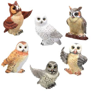 Owls Collectible Figurine, Set of 6