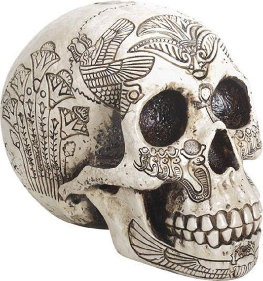 YTC Summit International Ancient Egypt Human Skull Etched with Egyptian Symbols Figurine Skeleton New