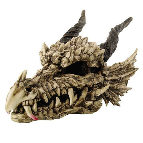 Large Dragon Skull Resin and Hand Painted Statue