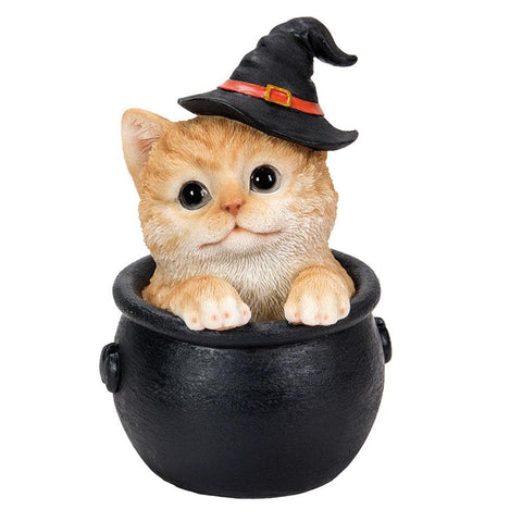 Orange Tabby in Cauldron